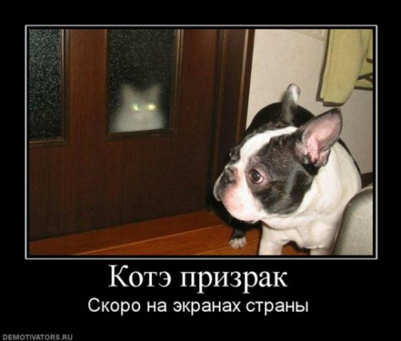 http://cs4692.vkontakte.ru/u16920598/42166413/x_cead2702.jpg